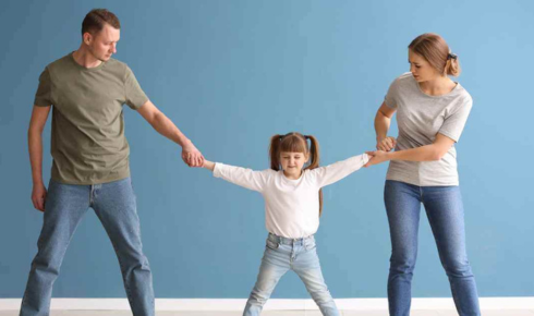 Shared Parenting and Joint Custody